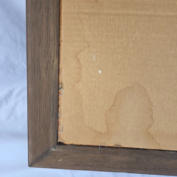 Vintage Frame Mirror Mappe Monde Du Globe World Map by Jan Barend Elwe 23 x 28 - Picture 13 of 16